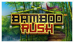 Bamboo Rush